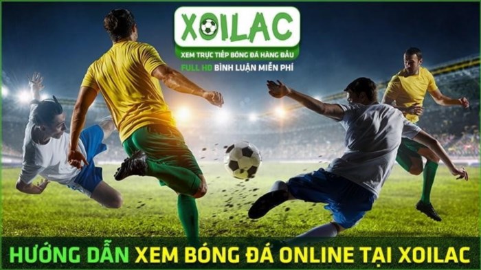 Hướng dẫn cách theo dõi trực tiếp trận đấu bóng đá (TTBD) trên kênh Xoilac