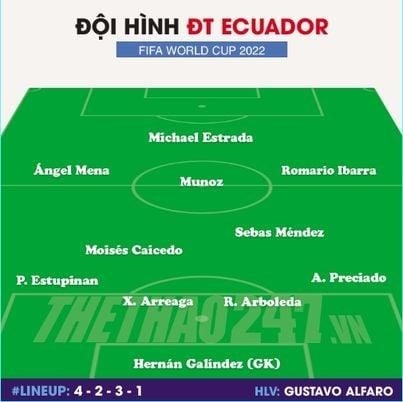 Đội hình tốt nhất Đội tuyển Ecuador được dự đoán.