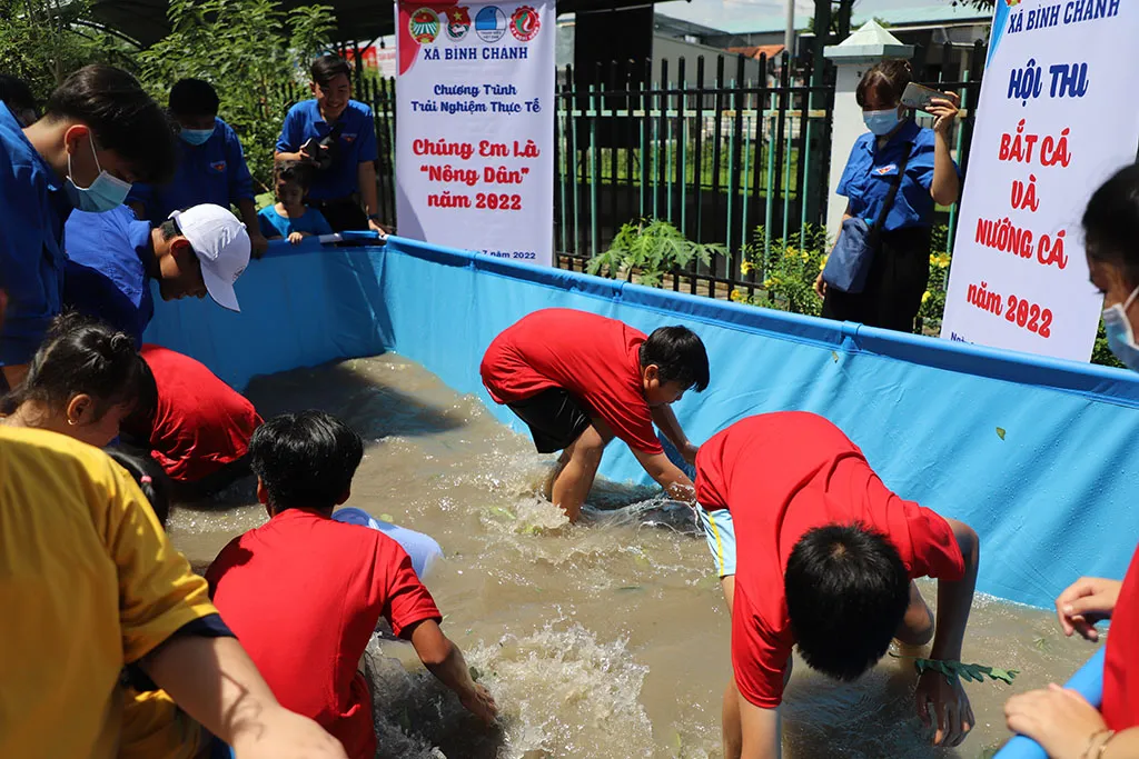 Giải mã giấc mơ thấy cá bơi trên cạn