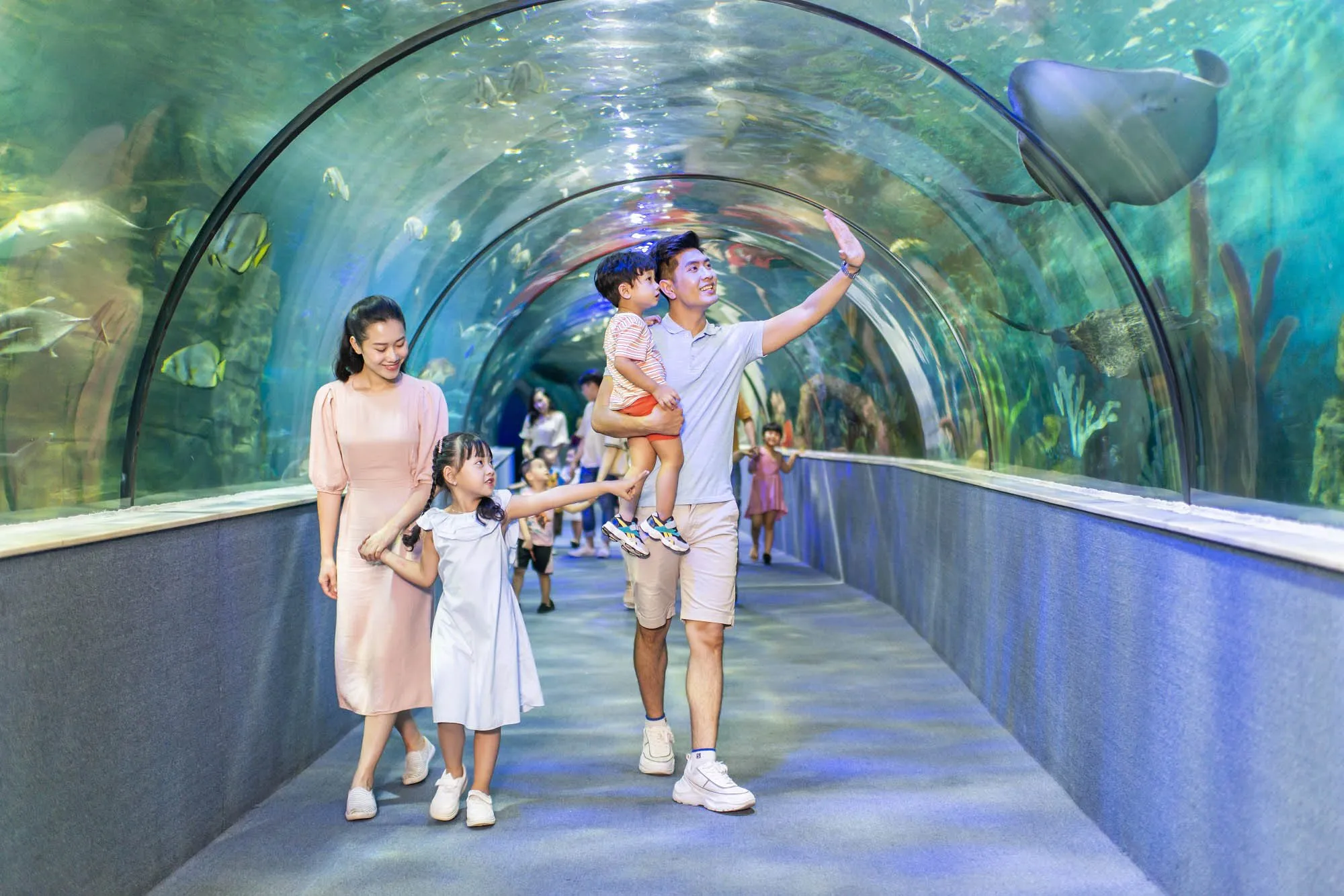 Khám phá thủy cung Vinpearl Aquarium