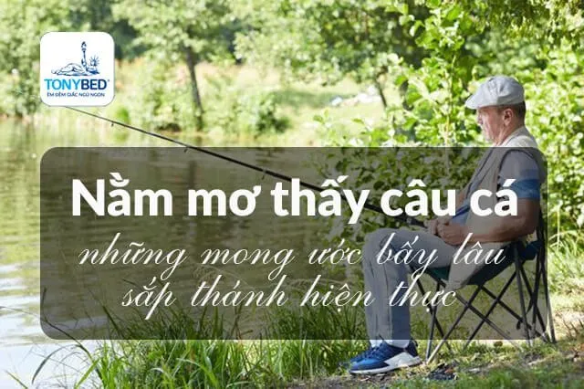 Mơ thấy câu cá