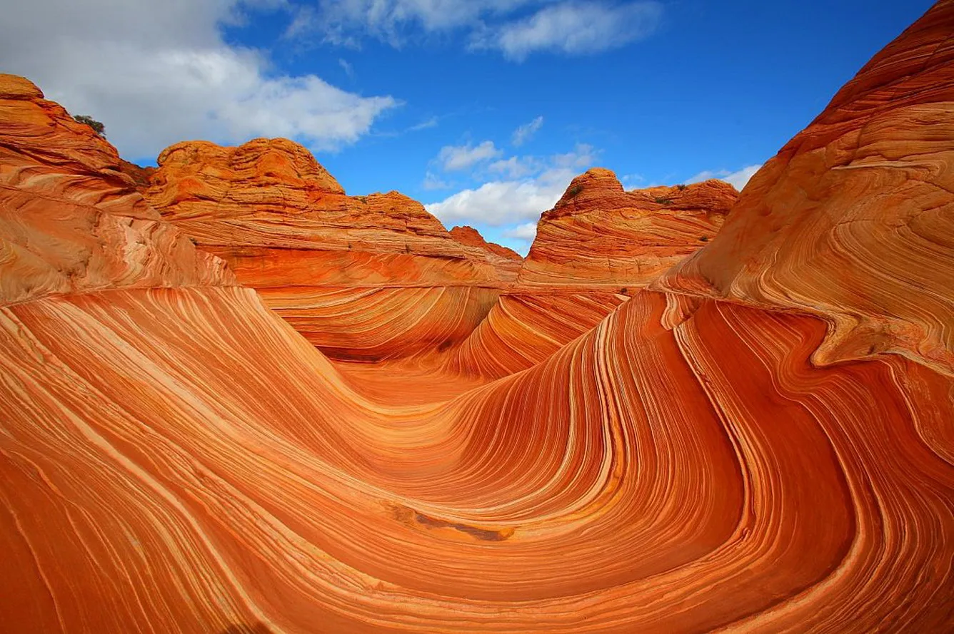 Sa thạch The Wave, Arizona, Mỹ